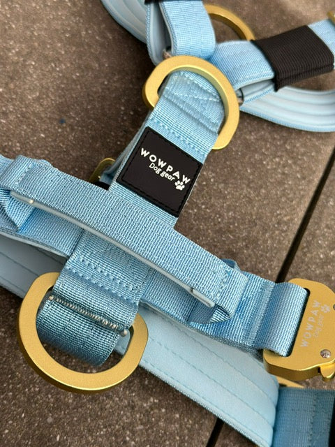 Hochwertiges Hundegeschirr S Sky Blue Edition