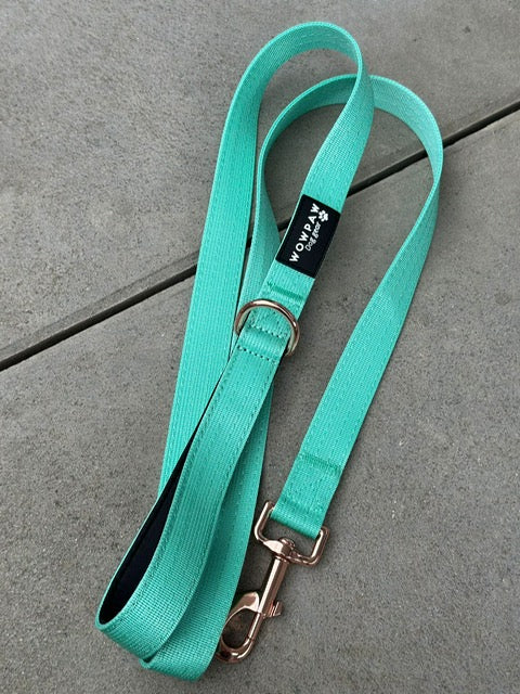 Standard Hundeleine M Länge 1,5m Mint x Rosegold