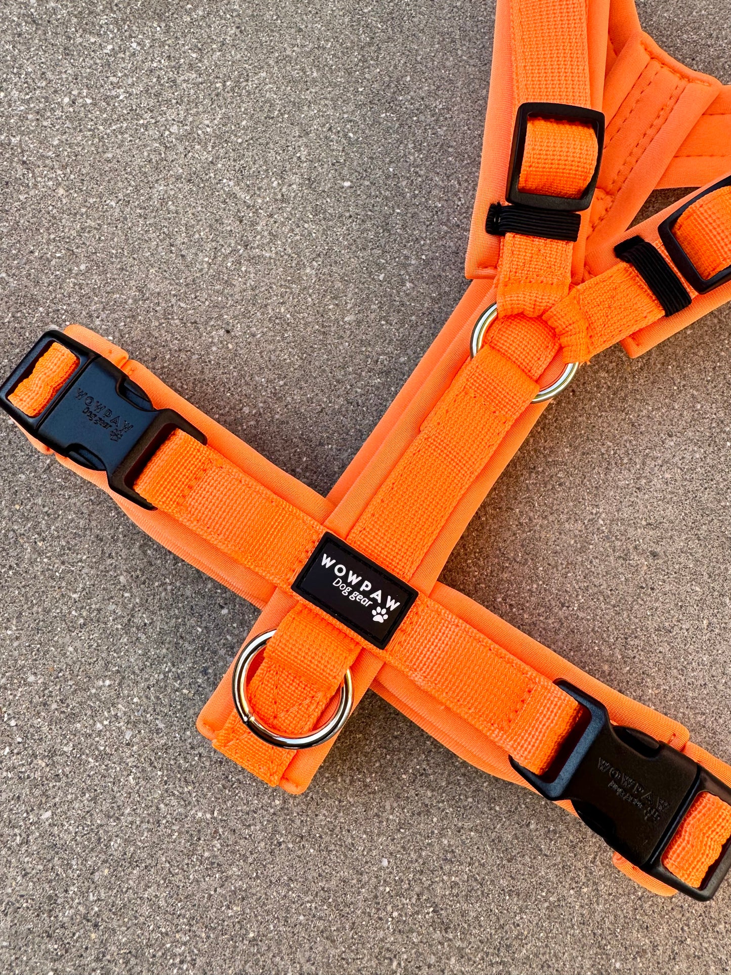 Hochwertiges Hundegeschirr FLOW Neonorange Edition