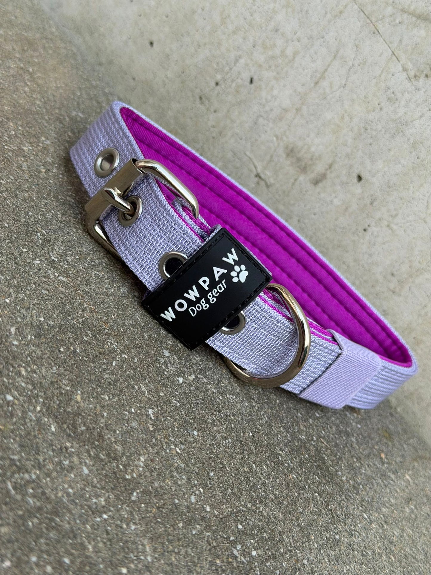 Hochwertiges Basic Hundehalsband Flieder Edition 2,5cm Größe S