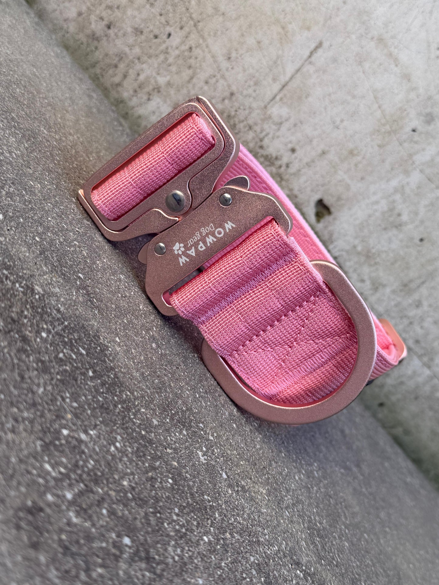 Hochwertiges taktisches Hundehalsband 5cm ULTRA LIGHT Rosa Edition Größe S ohne Griff