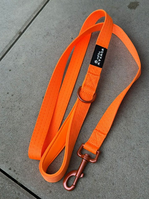 Standard Hundeleine M Länge 1,5m Neonorange Edition