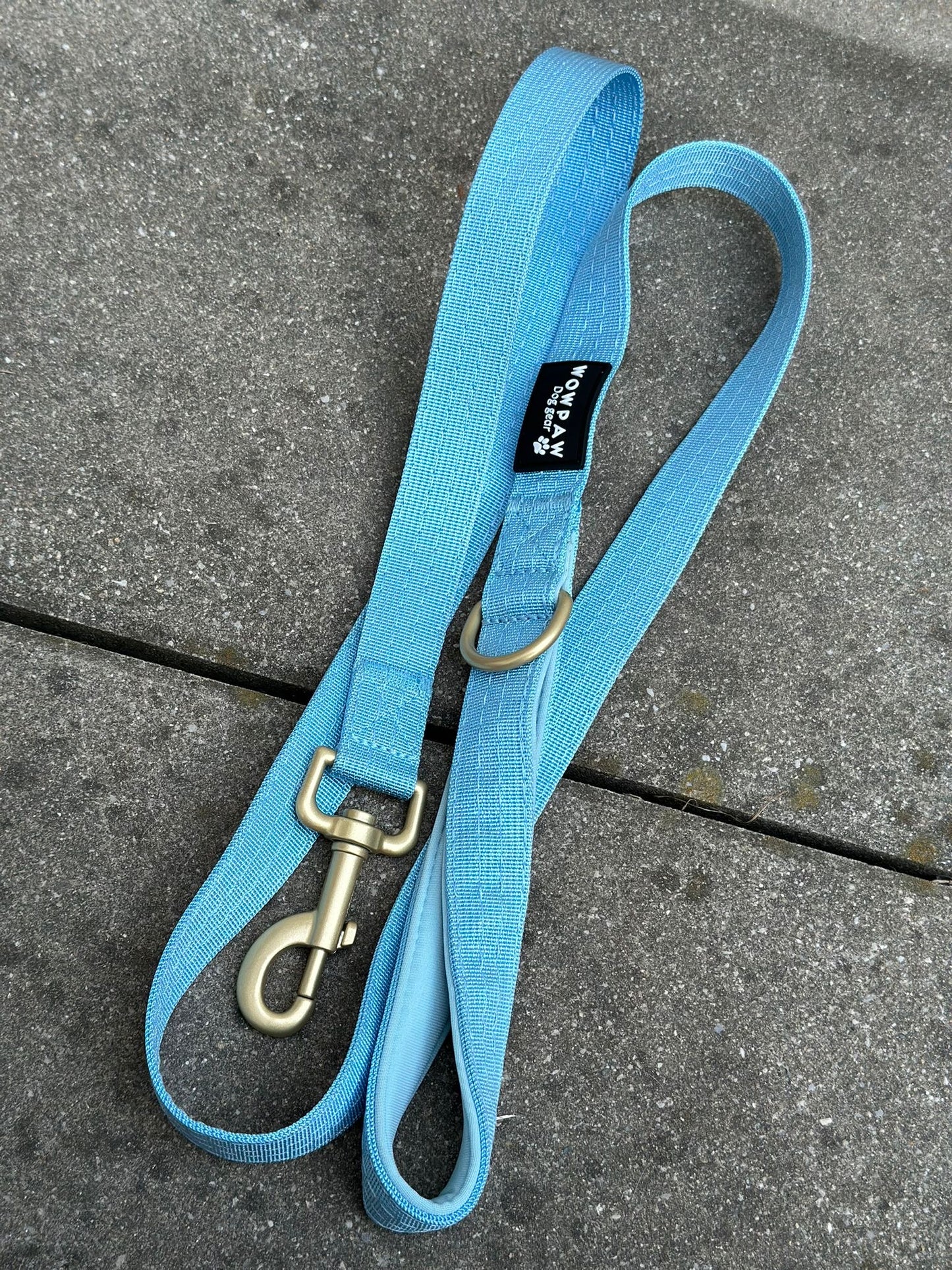 Standard Hundeleine M Länge 1,5m Sky Blue Edition