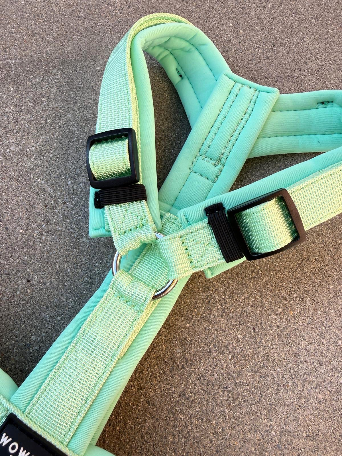 Hochwertiges Hundegeschirr FLOW Pistaziengrün Edition