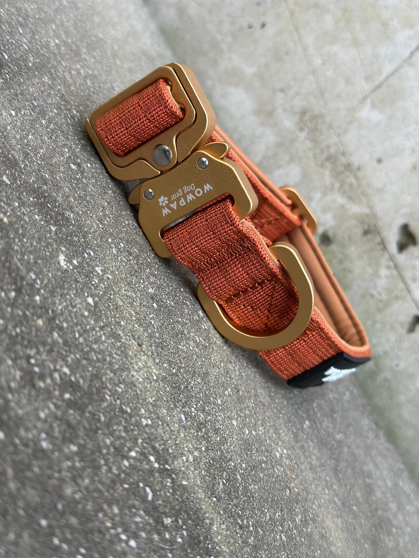 Hochwertiges taktisches Hundehalsband XS 2,5cm Braun Camo Edition ohne Griff