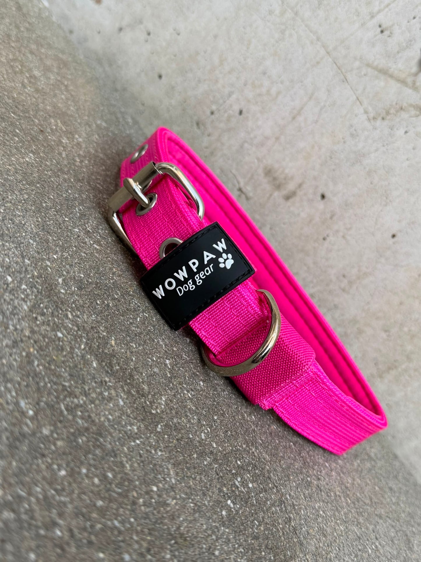Hochwertiges Basic Hundehalsband Magenta Edition 2,5cm Größe S