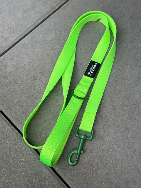 Standard Hundeleine S Länge 1,5m Neongrün Edition