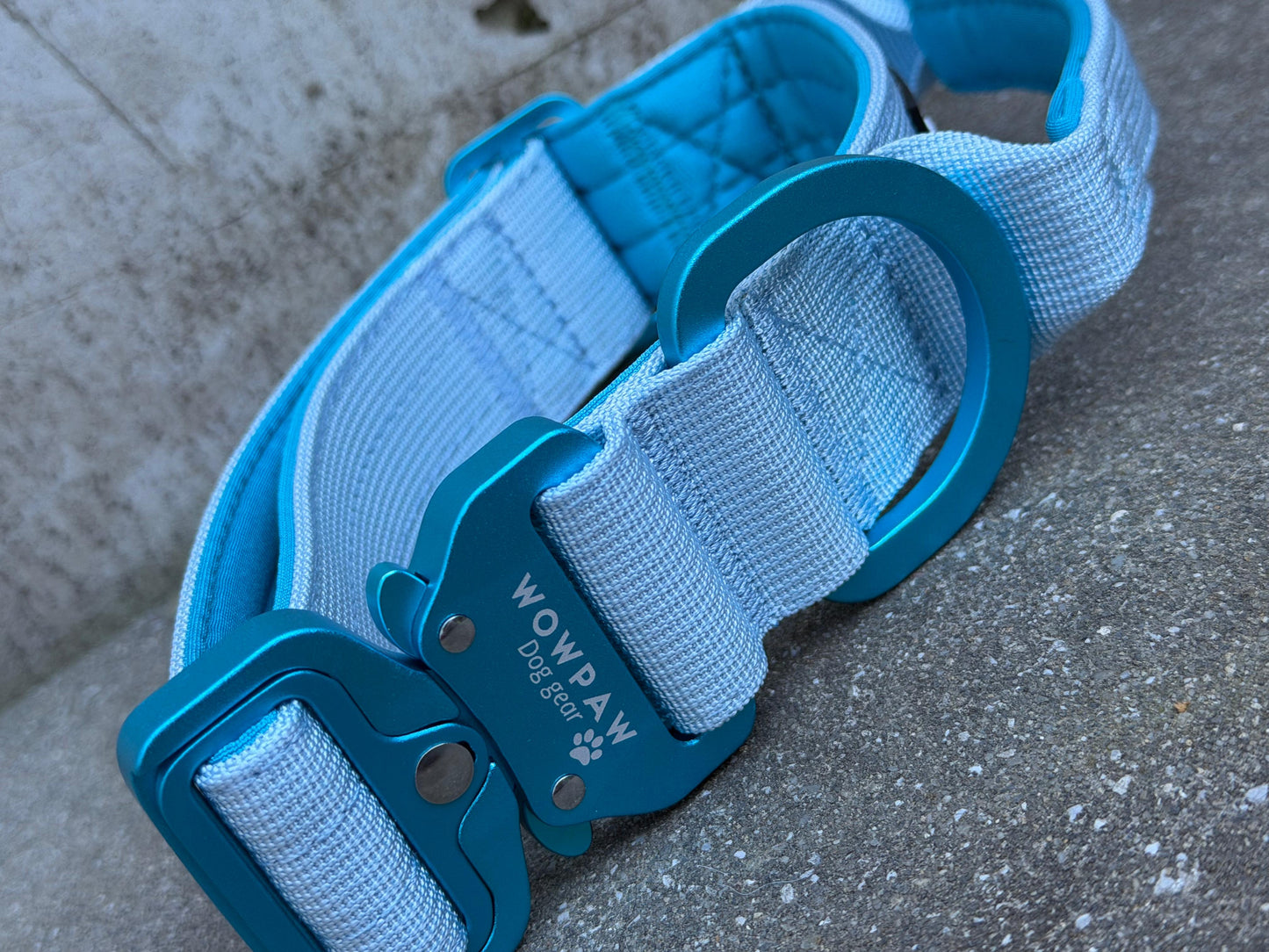 Collare tattico per cani di alta qualità blu royal taglia S