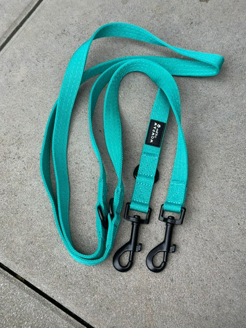 Standard Hundeleine S verstellbar Länge 2m Türkis