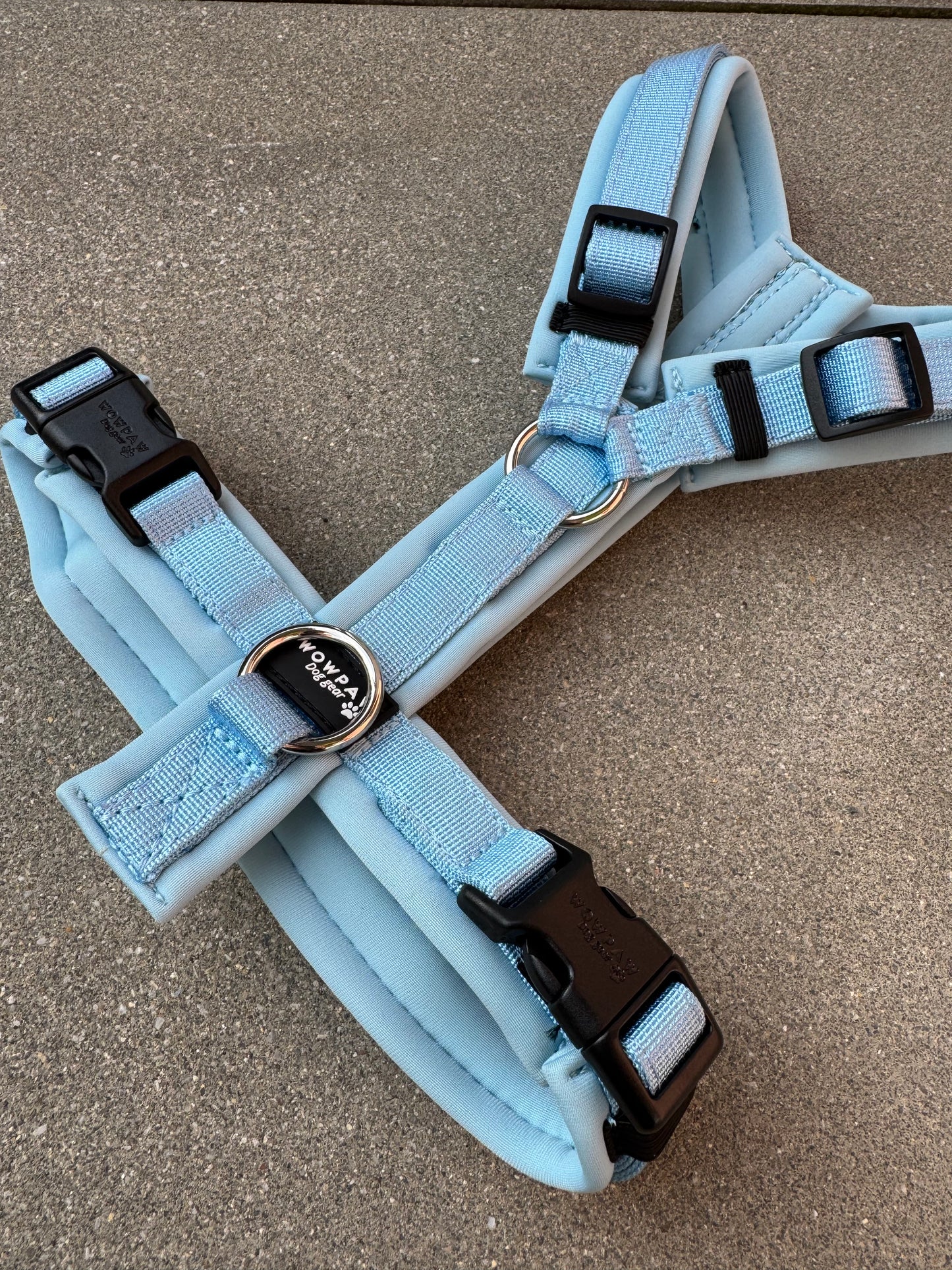 Hochwertiges Hundegeschirr FLOW Sky Blue Edition