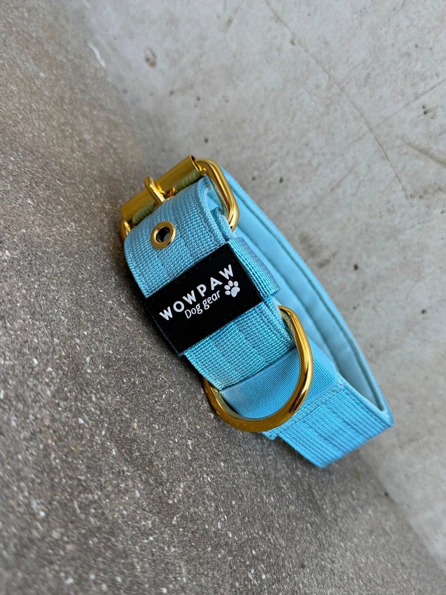 Hochwertiges Basic Hundehalsband Sky Blue-Gold Edition 3,8cm Größe S