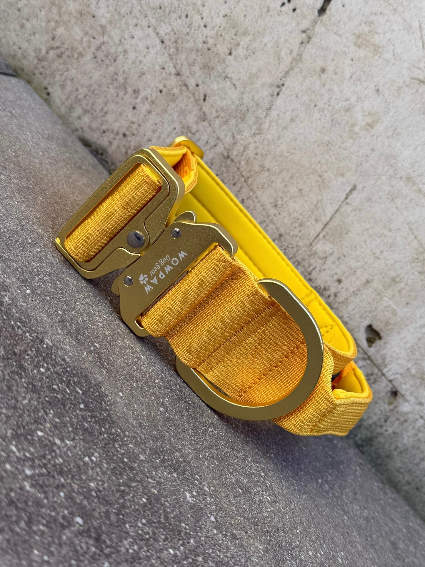 Collare tattico per cani di alta qualità blu royal taglia S