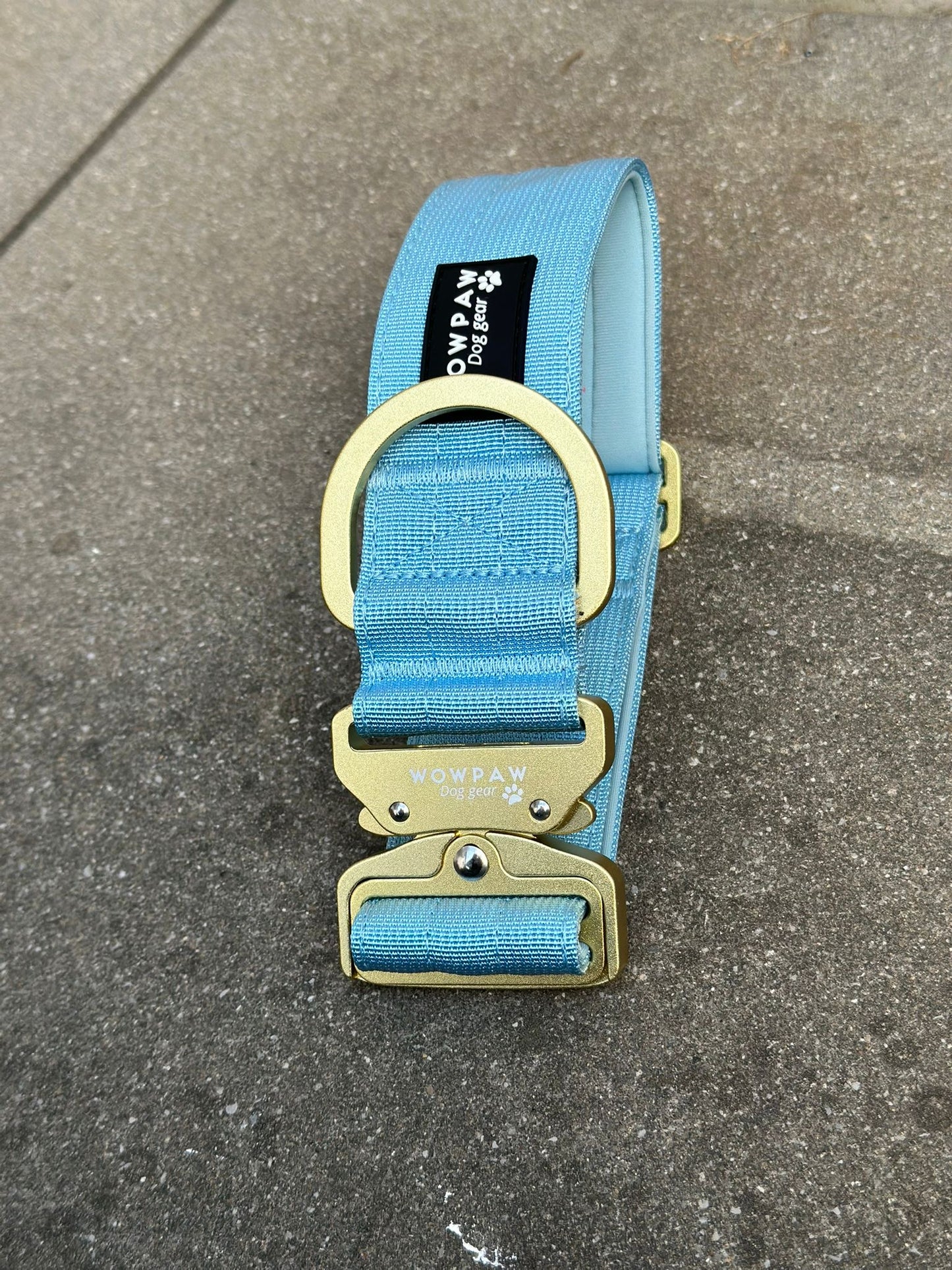 Taktisches Hundehalsband 5cm ULTRA LIGHT Sky Blue Edition S ohne Griff