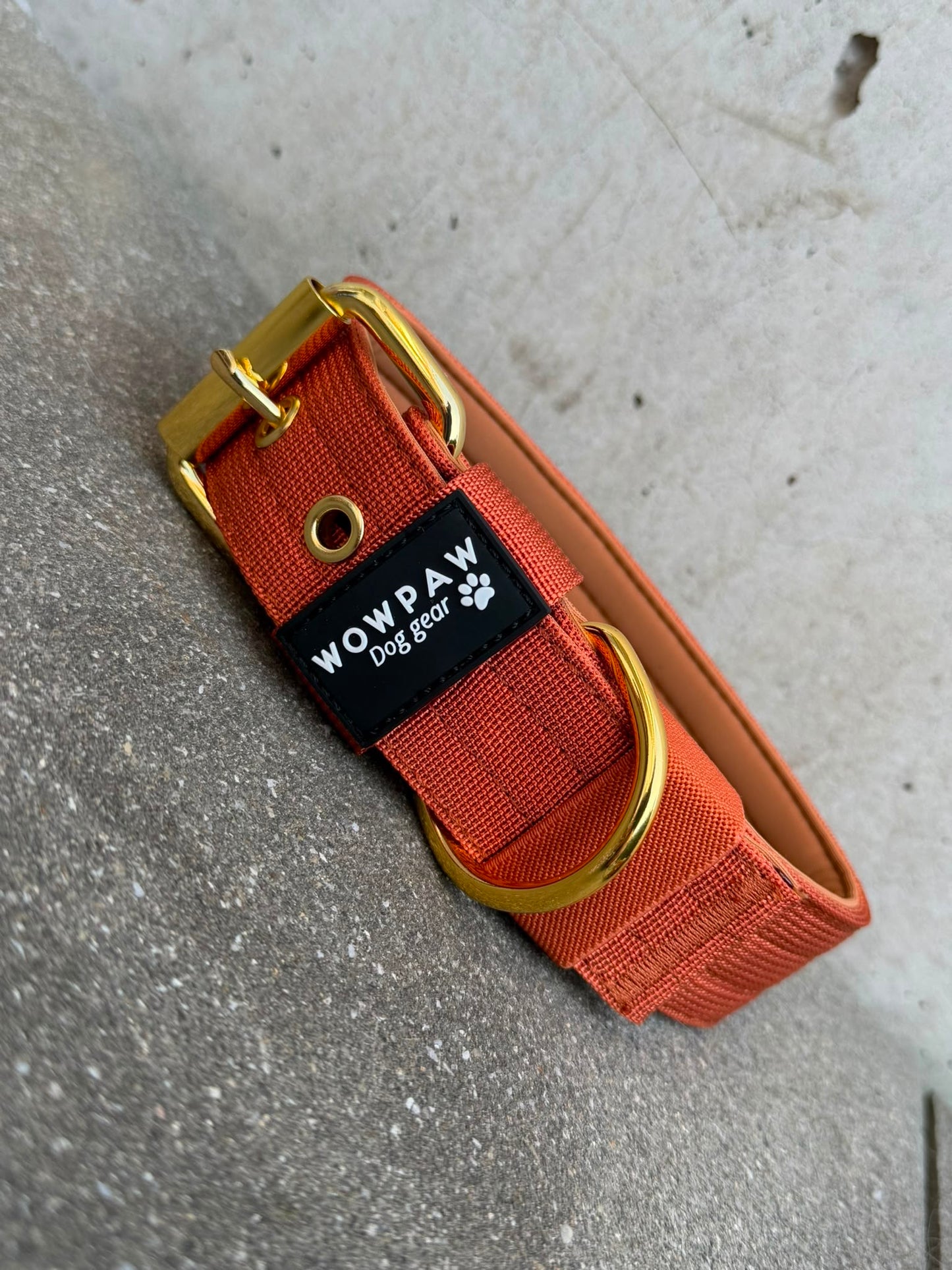 Collare per cani basic di alta qualità arancione neon taglia M