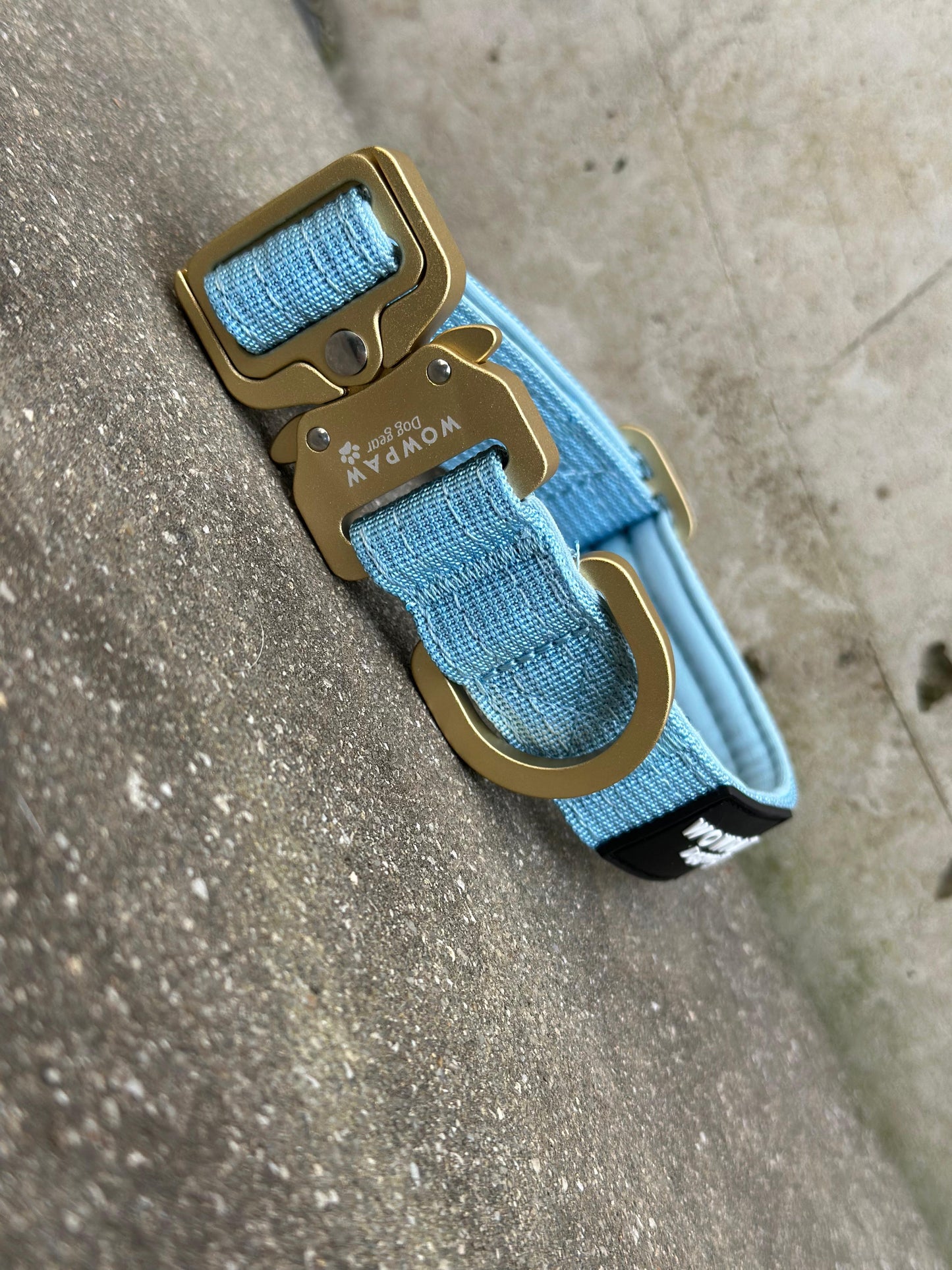 Hochwertiges taktisches Hundehalsband XS 2,5cm Espresso Sky Blue Edition ohne Griff