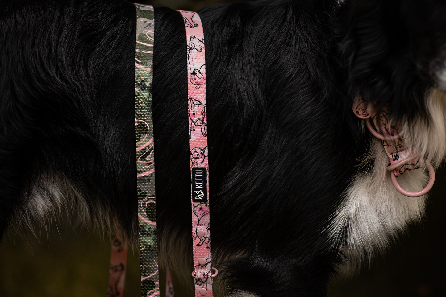 KETTU verstellbare Hundeleine Piglets