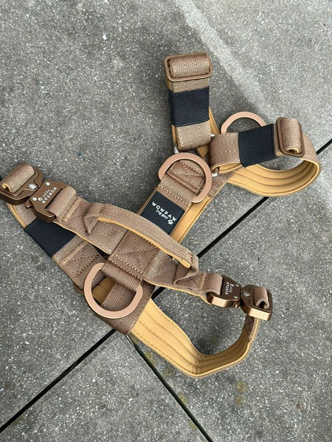 Pettorina per cani di alta qualità M rosa neon