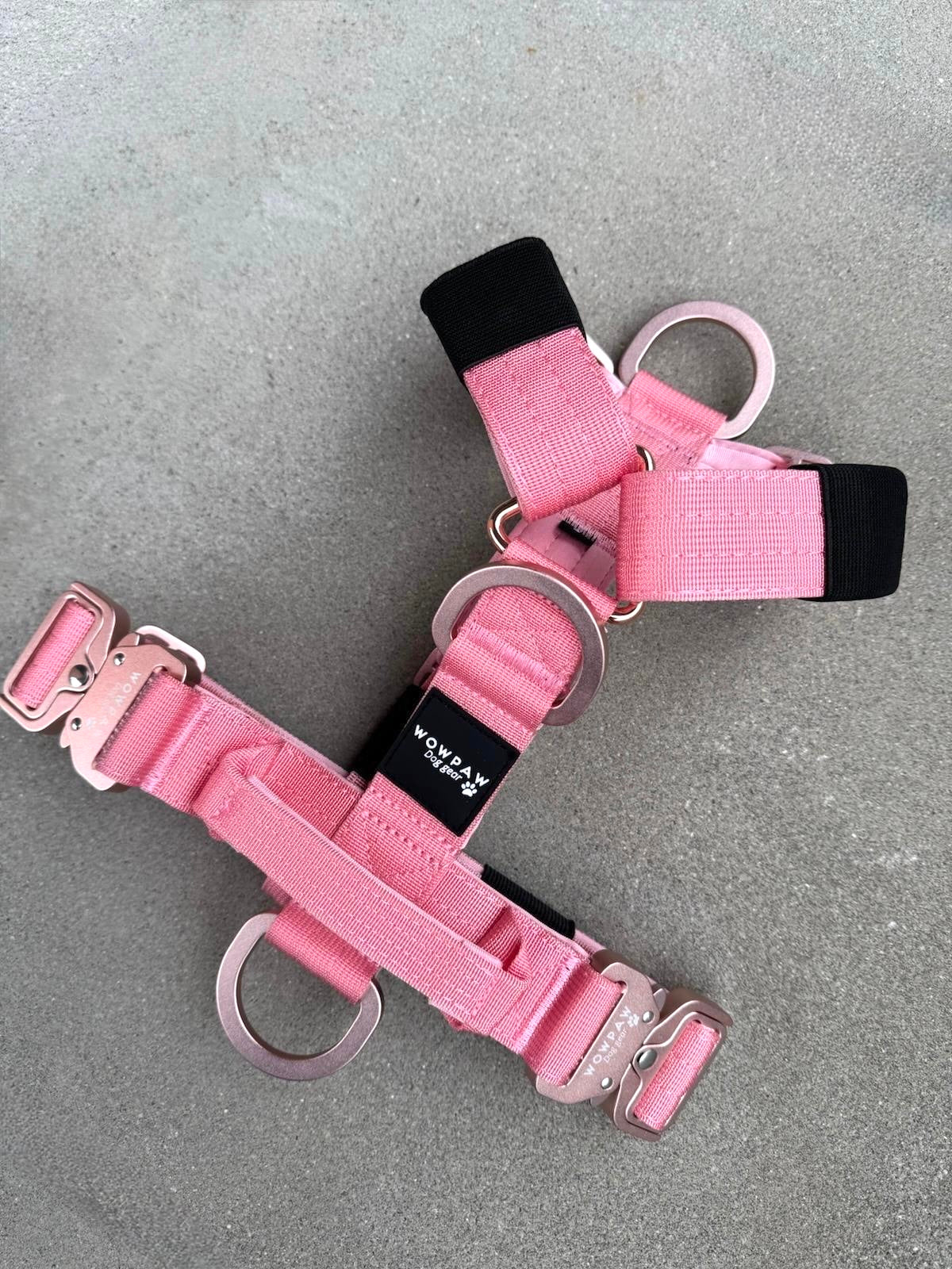 Pettorina per cani di alta qualità S arancione neon