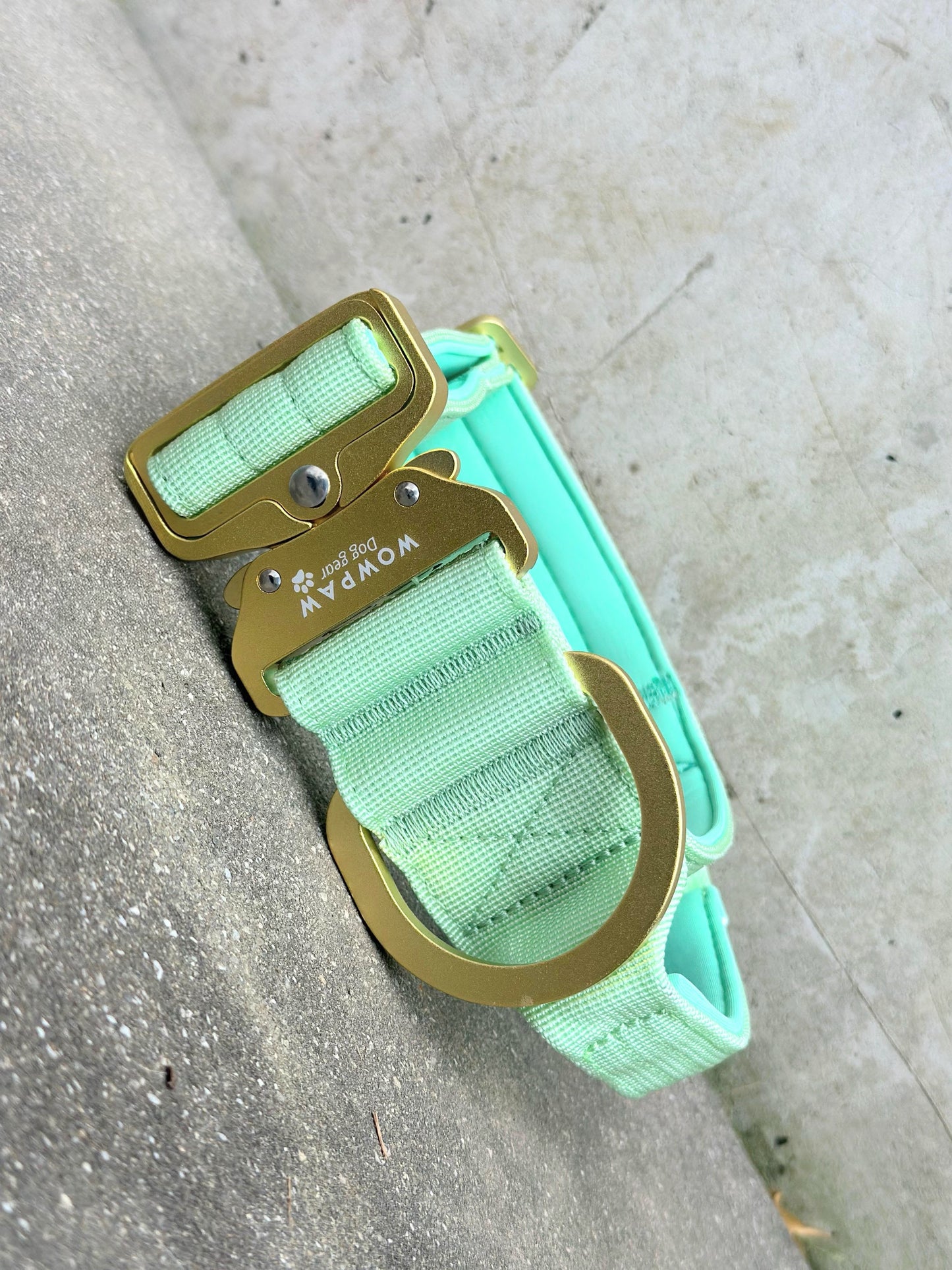 Taktisches Hundehalsband ULTRA LIGHT 5cm Pistaziengrün Edition S