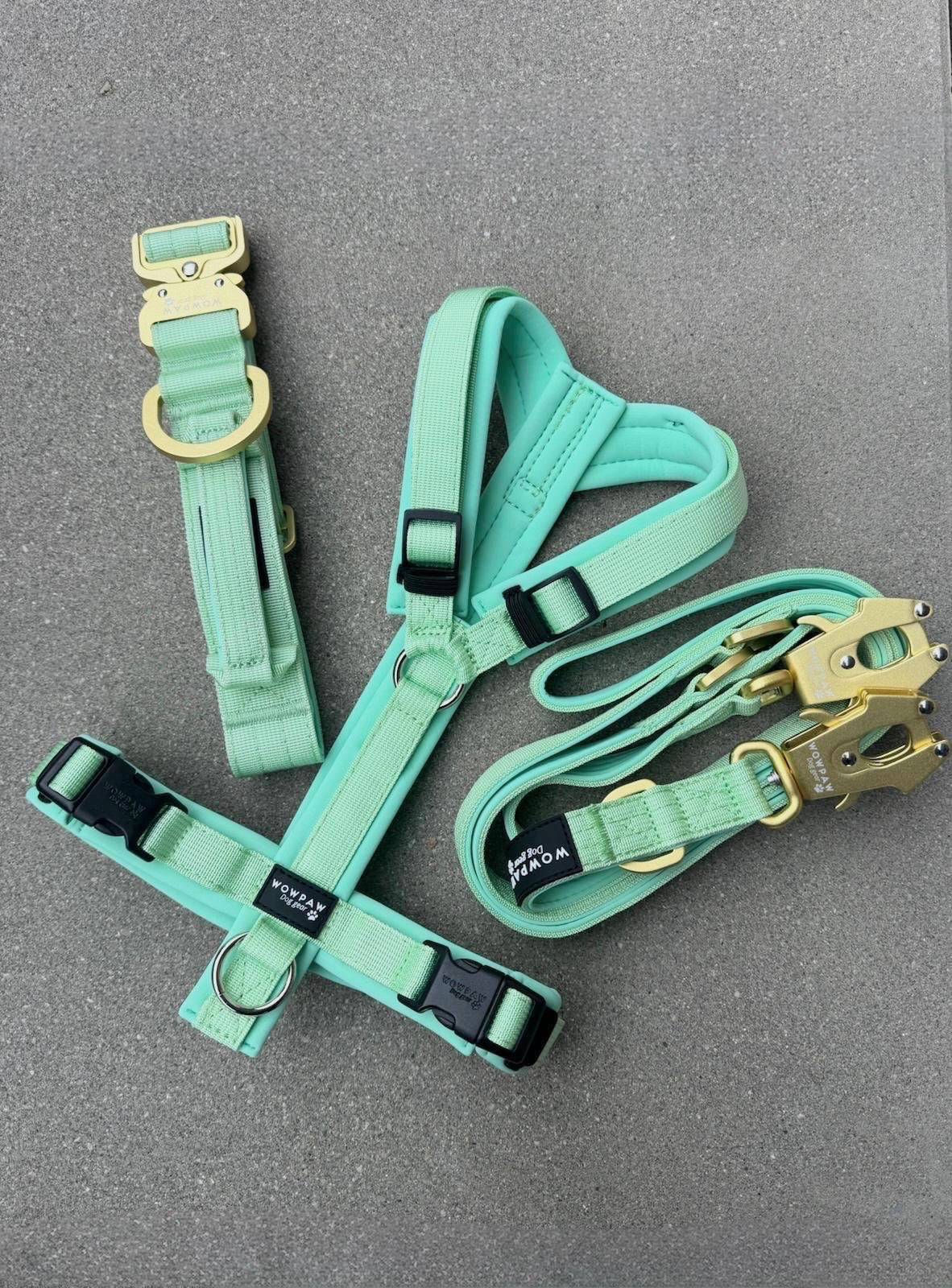 Hochwertiges Hundegeschirr FLOW Pistaziengrün Edition