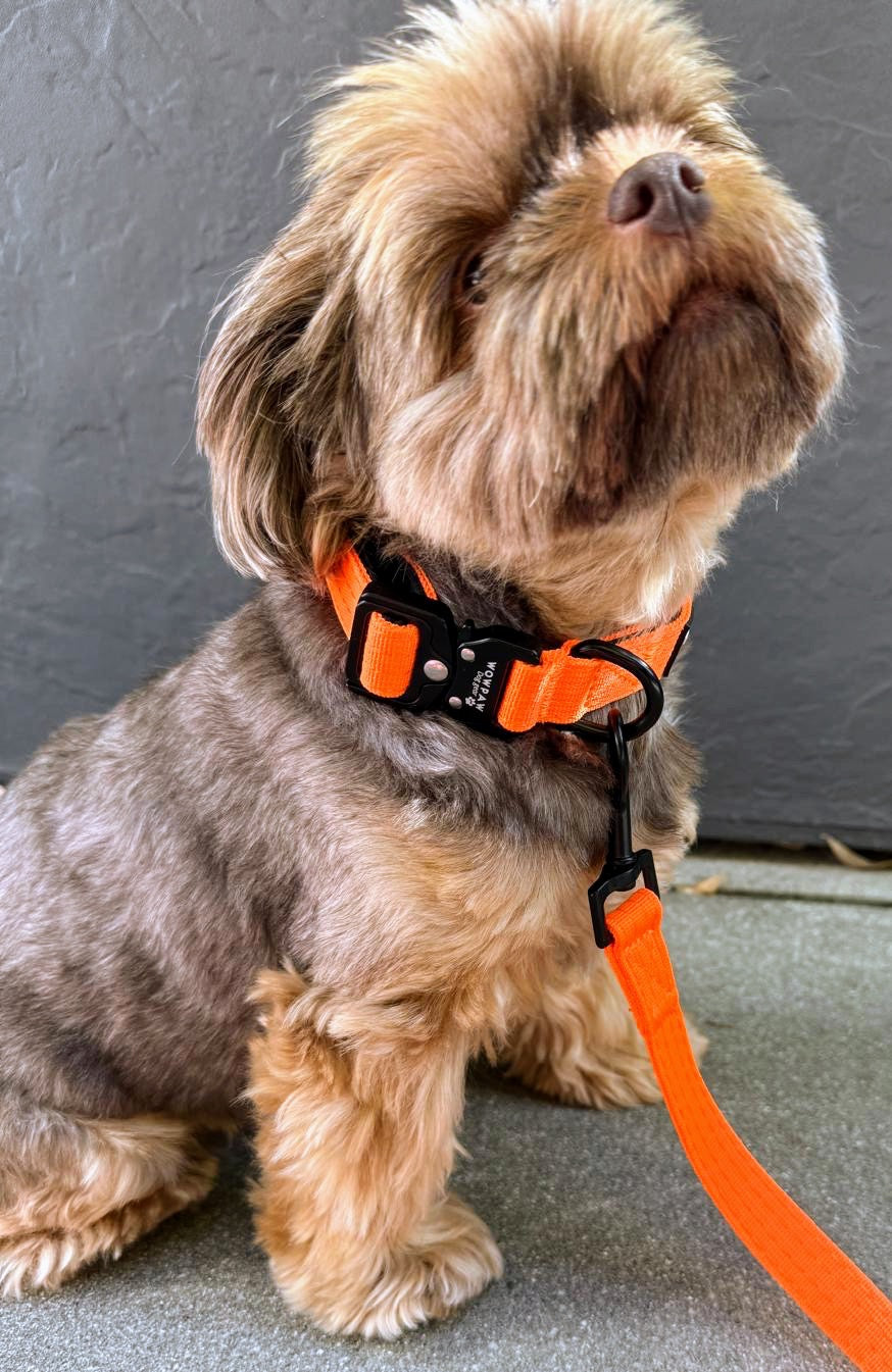 Standard Hundeleine SOFTLINE XS 1,5m Neonorange