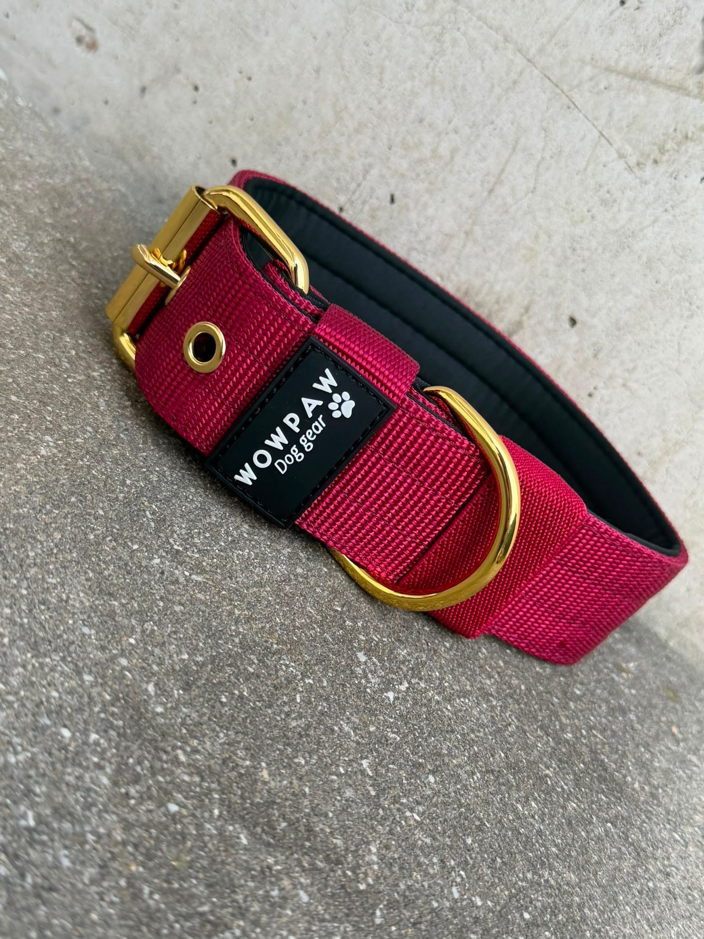 Collare per cani basic di alta qualità arancione neon taglia M