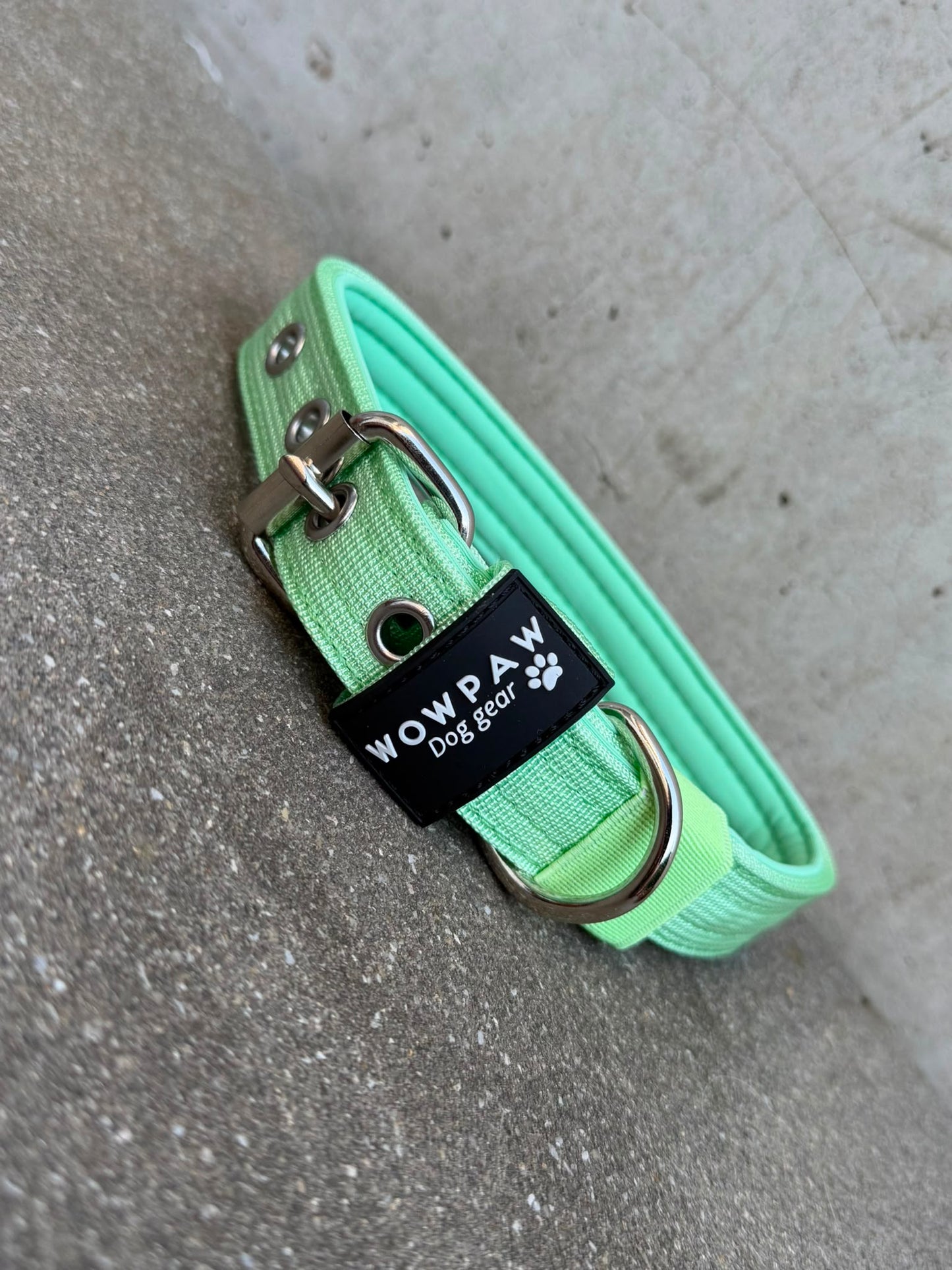 Hochwertiges Basic Hundehalsband Pistaziengrün 2,5cm Größe M