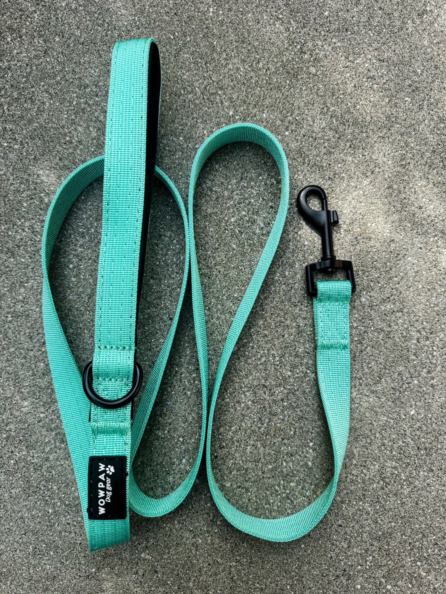 Standard Hundeleine SOFTLINE XS 1,5m Mint