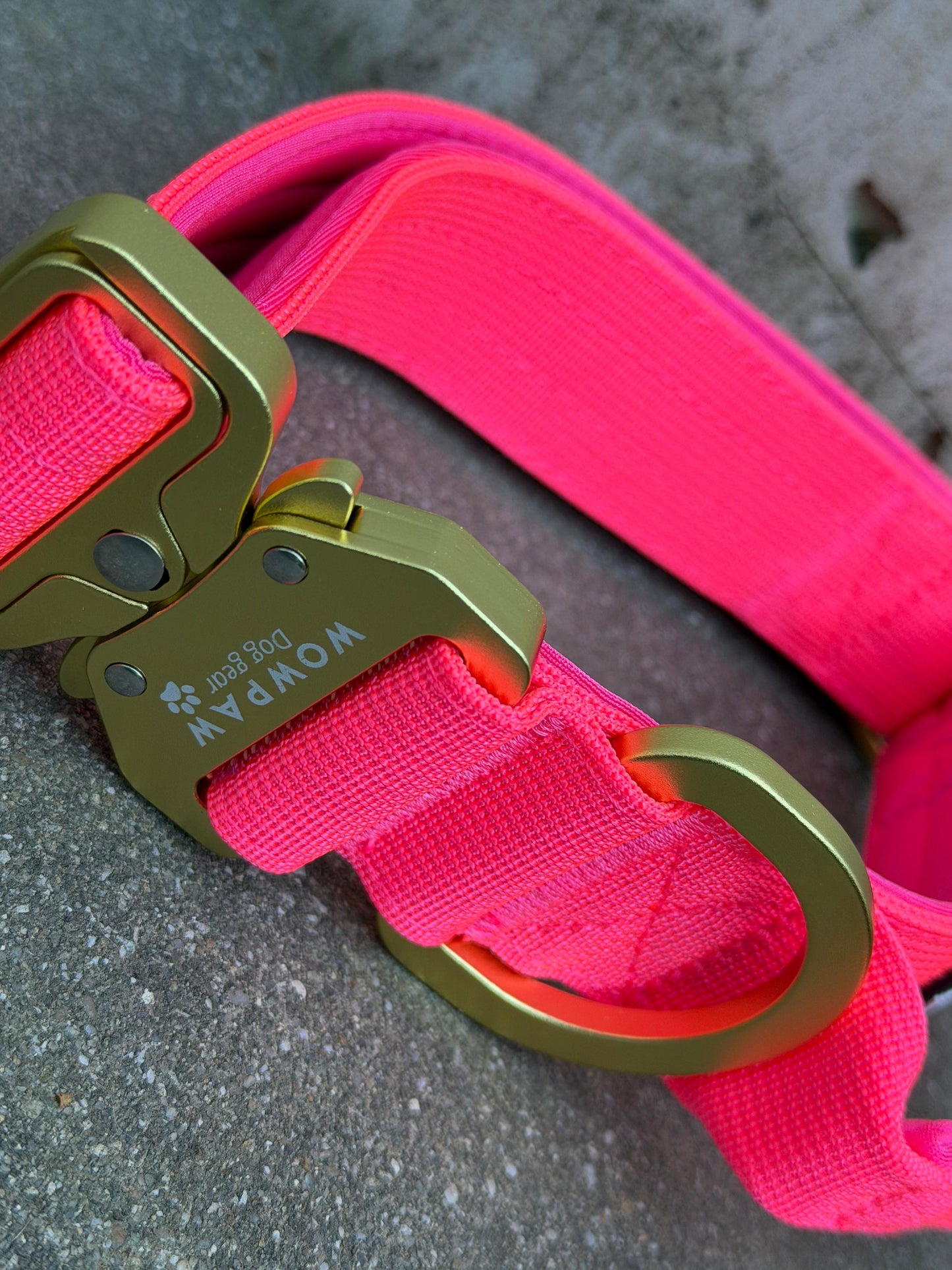 Collare tattico per cani di alta qualità blu royal taglia S