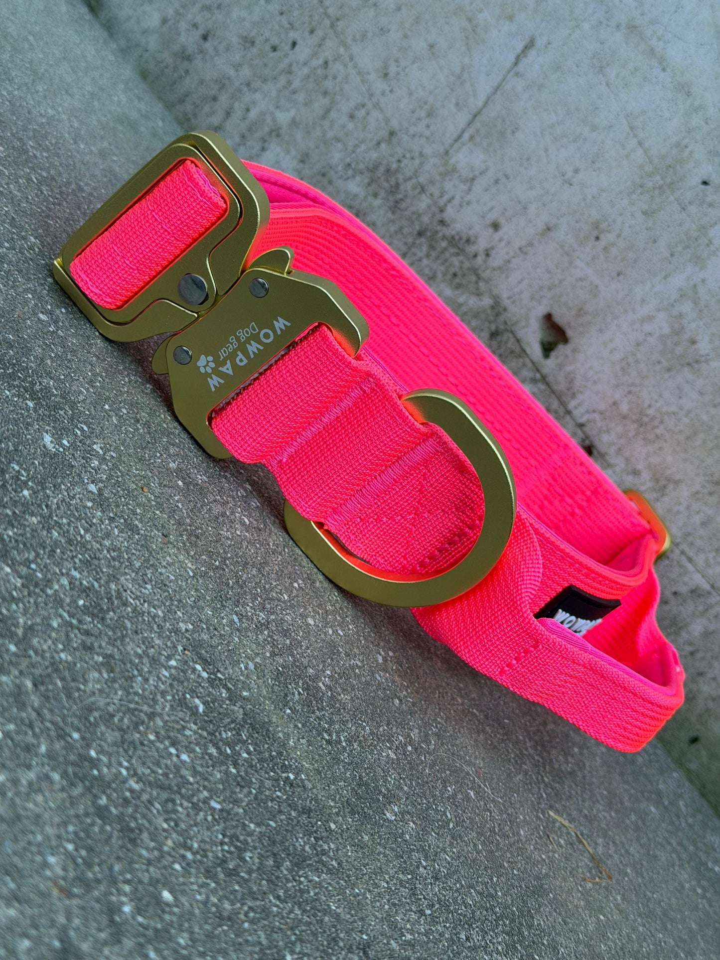 Taktisches Hundehalsband ULTRA LIGHT 3,8cm Neonpink Edition M