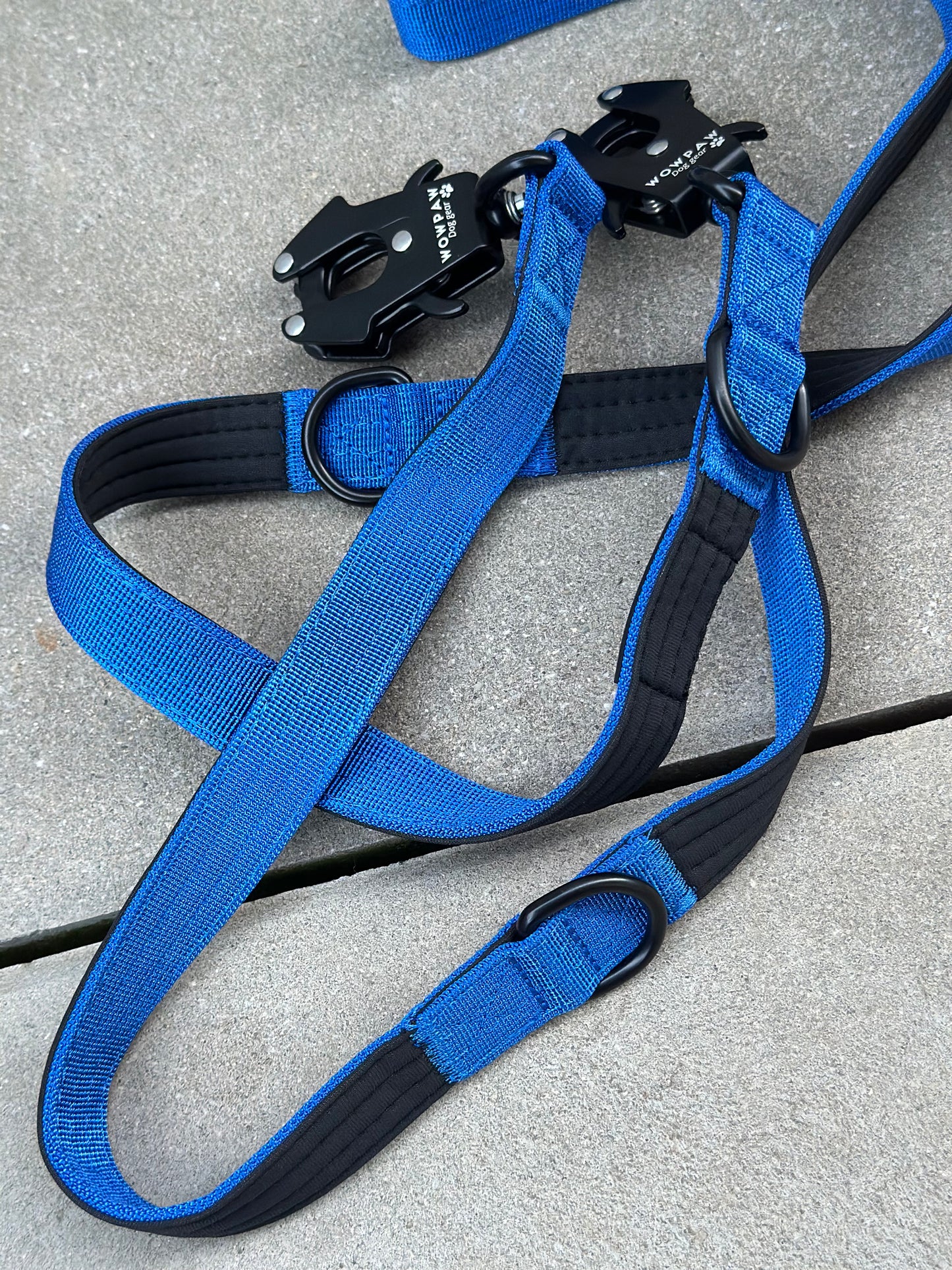 Taktyczna smycz dla psa z karabińczykiem w kształcie żaby, obrotowa o 360°, długość 2 m, regulowana, królewsko niebieska