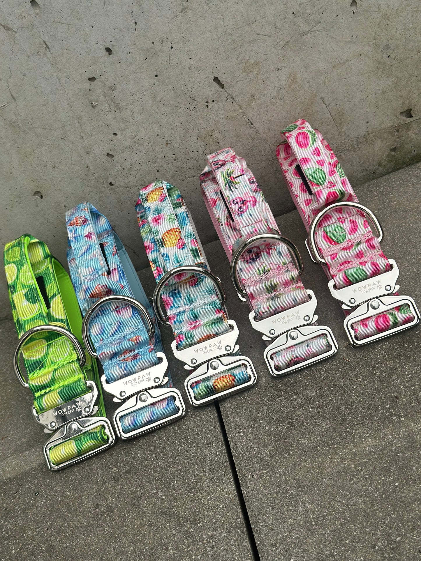 Hochwertiges taktisches Hundehalsband WASSERMELONEN LIMITIERT Größe M Breite 3,8cm