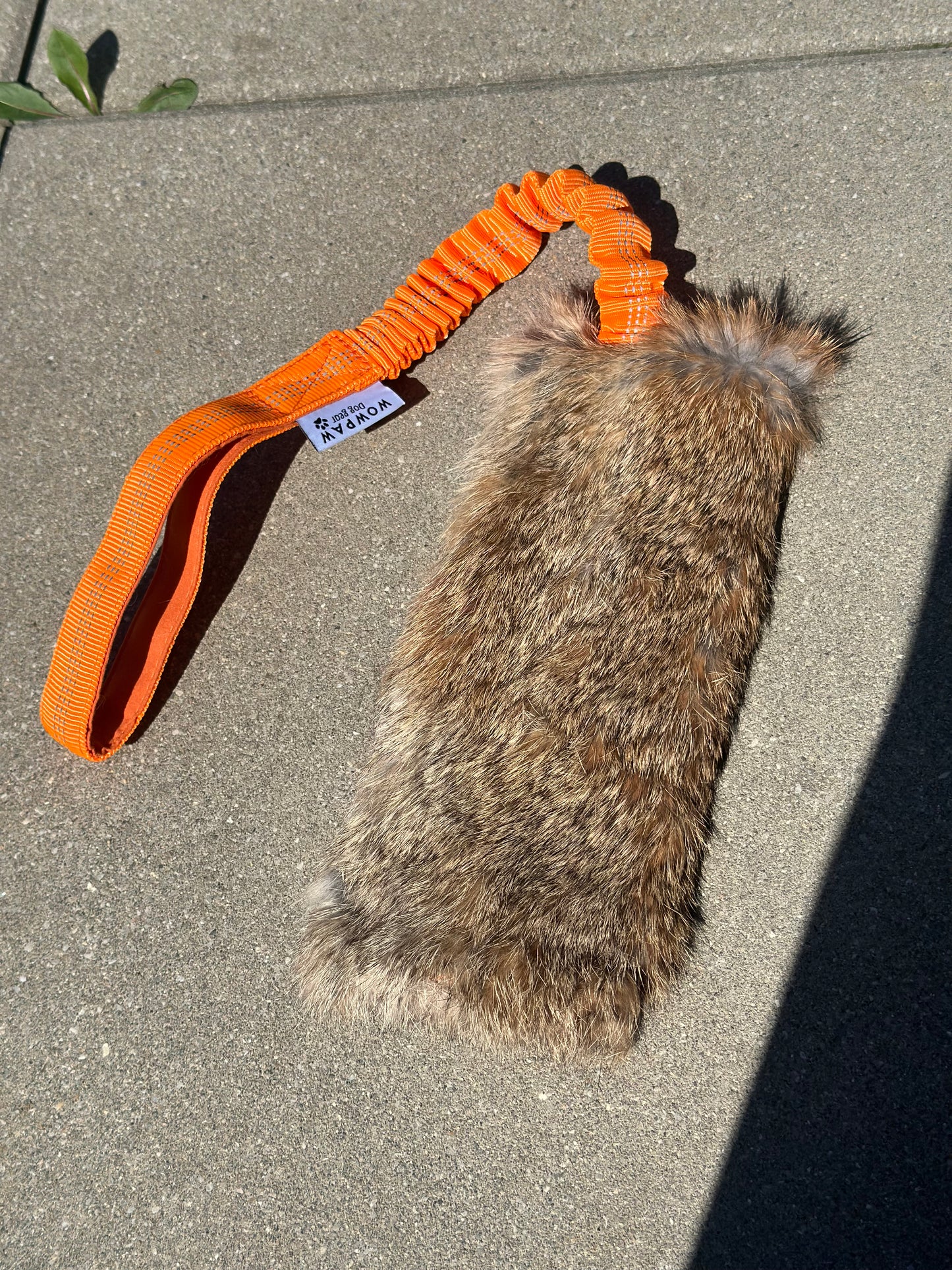 Bungee Zergel mit KANINCHENFELL