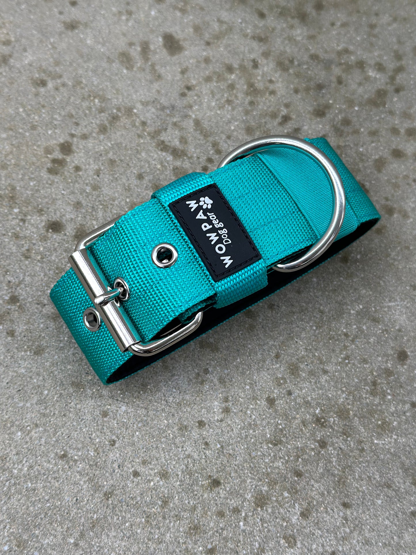 Collare per cani basic di alta qualità turchese taglia S