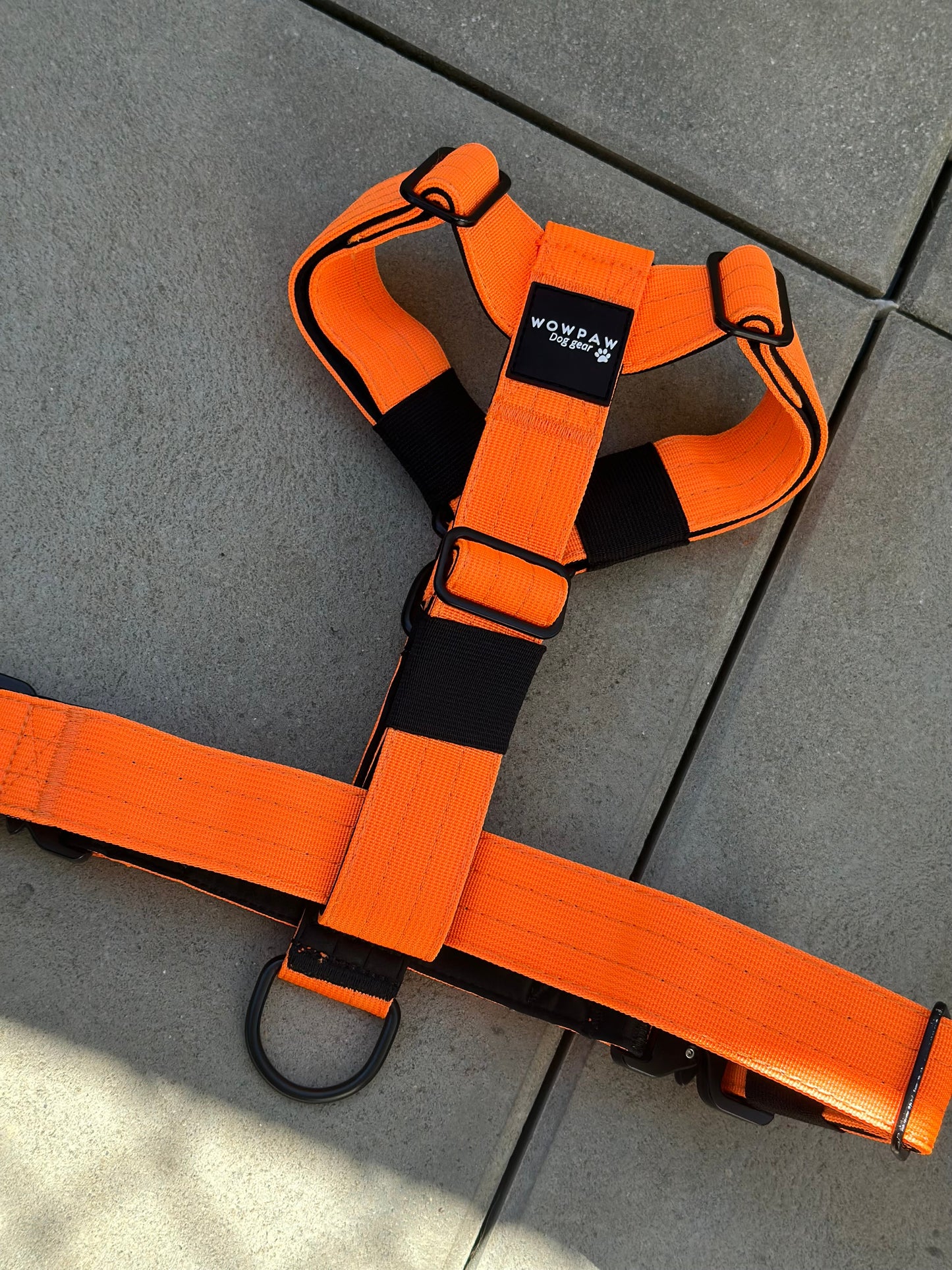 Pettorina per cani di alta qualità M arancione neon