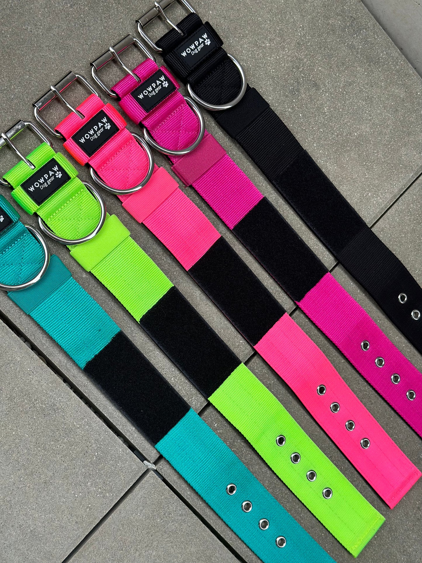 Wysokiej jakości podstawowa obroża dla psa z naszywką w kolorze magenta, rozmiar L
