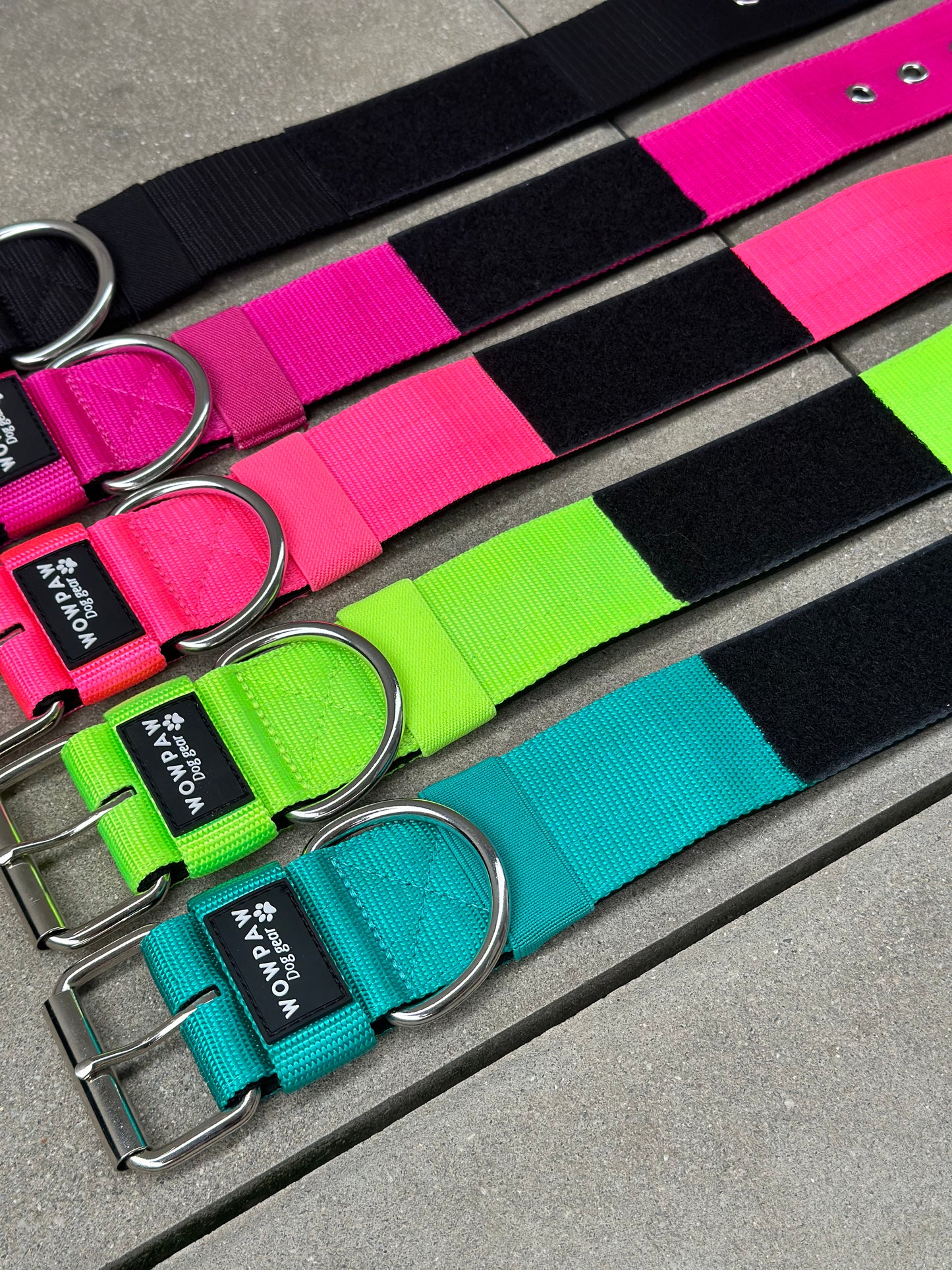 Wysokiej jakości podstawowa obroża dla psa z naszywką w kolorze turkusowym, rozmiar L