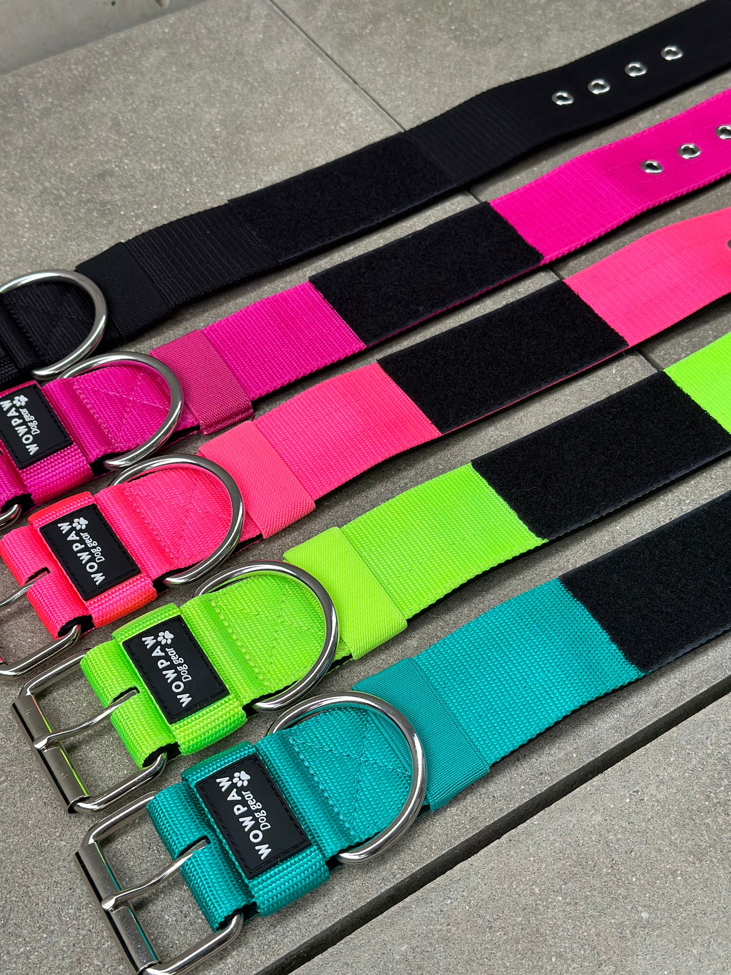 Wysokiej jakości podstawowa obroża dla psa z naszywką w kolorze magenta, rozmiar S