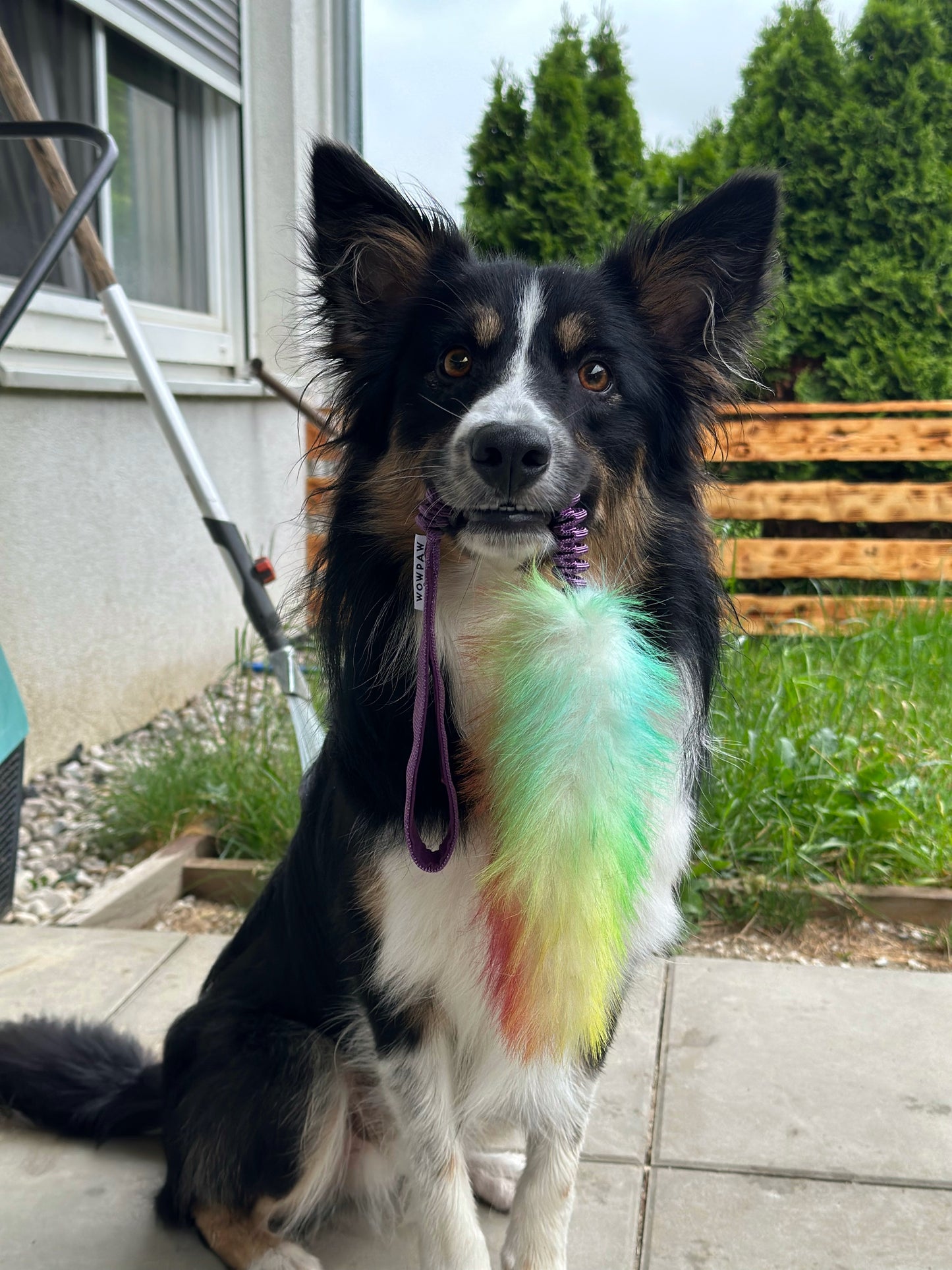 Bungee Zergel ze sztucznym futerkiem