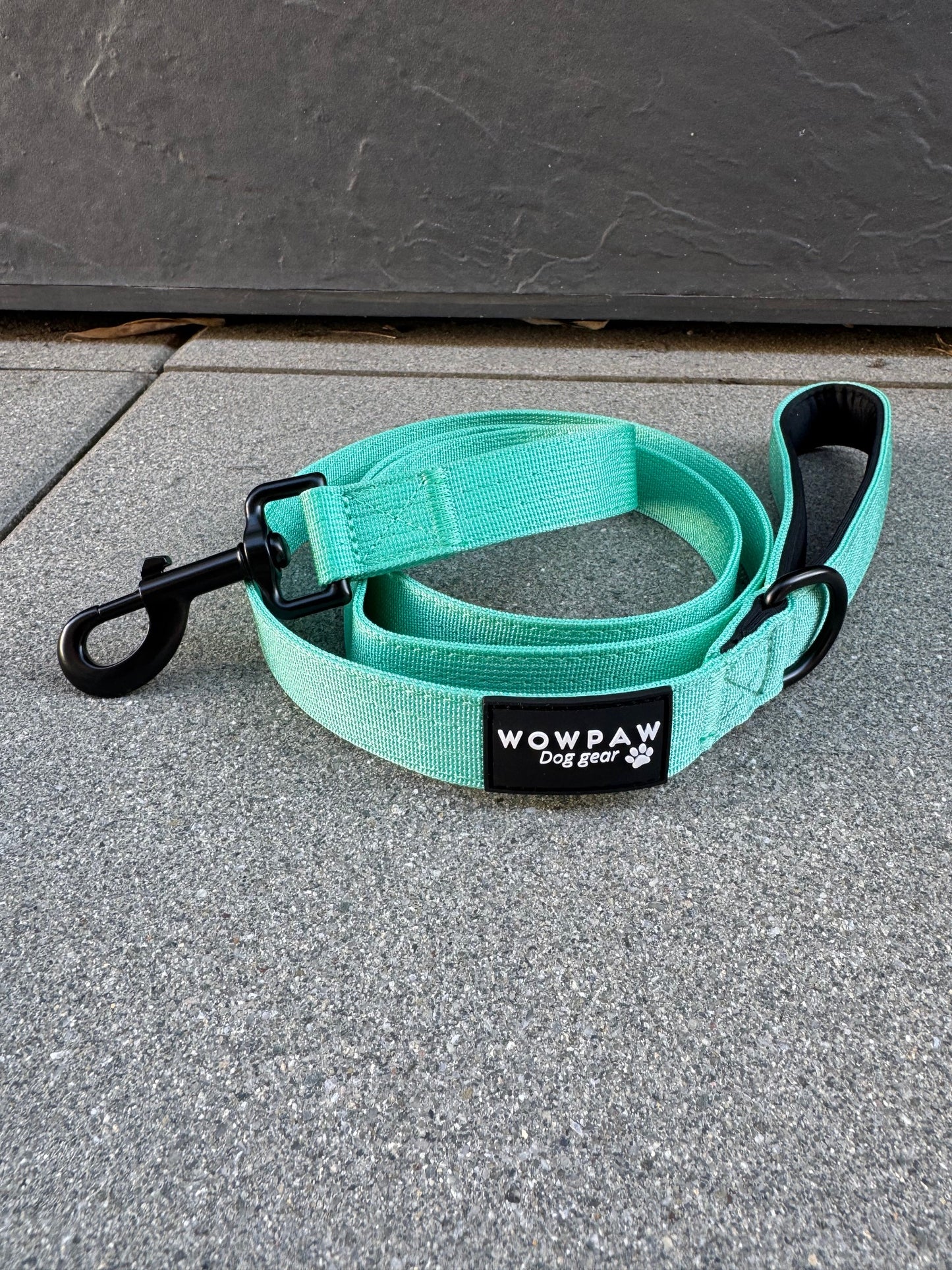 Standard Hundeleine M Länge 1,5m Mint