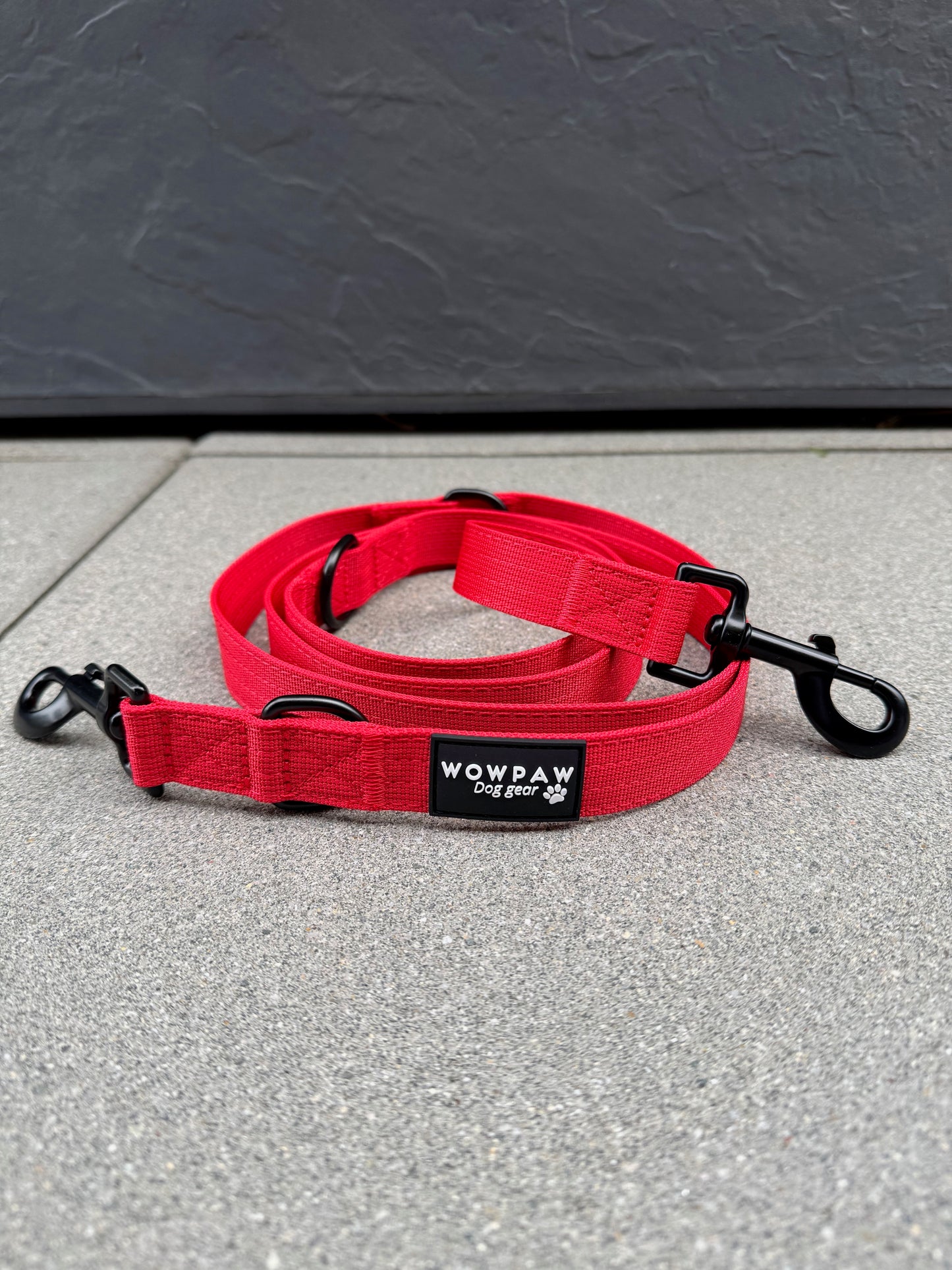 Standard Hundeleine M verstellbar Länge 2m Rot