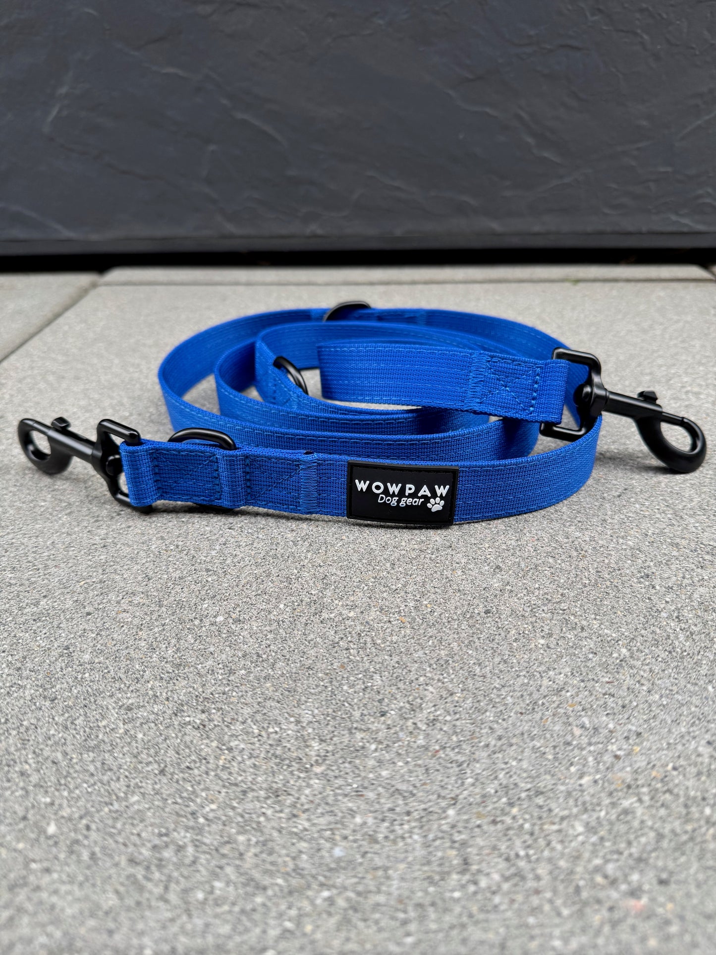 Standard Hundeleine M verstellbar Länge 2m Blau