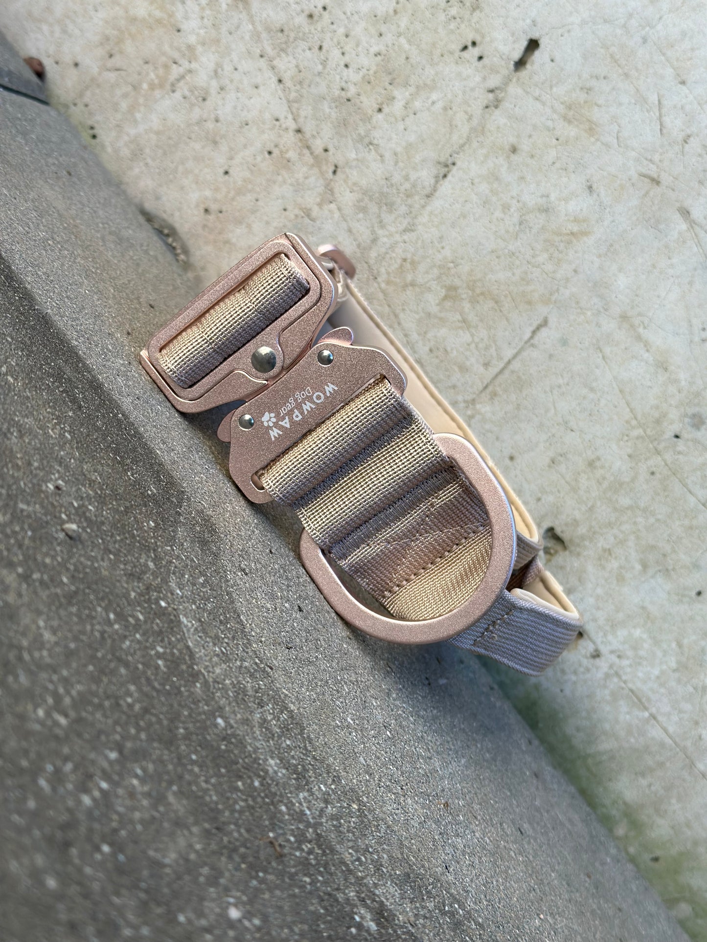 Hochwertiges taktisches Hundehalsband 5cm ULTRA LIGHT BEIGE Edition Größe M