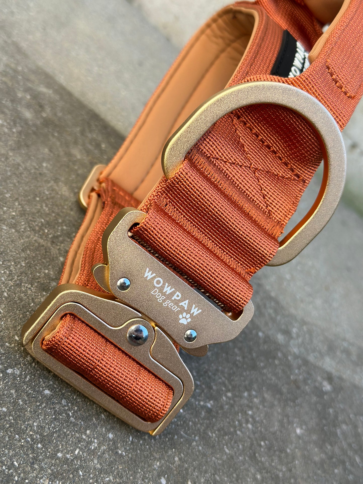 Hochwertiges taktisches Hundehalsband 5cm ULTRA LIGHT KUPFER Edition Größe M