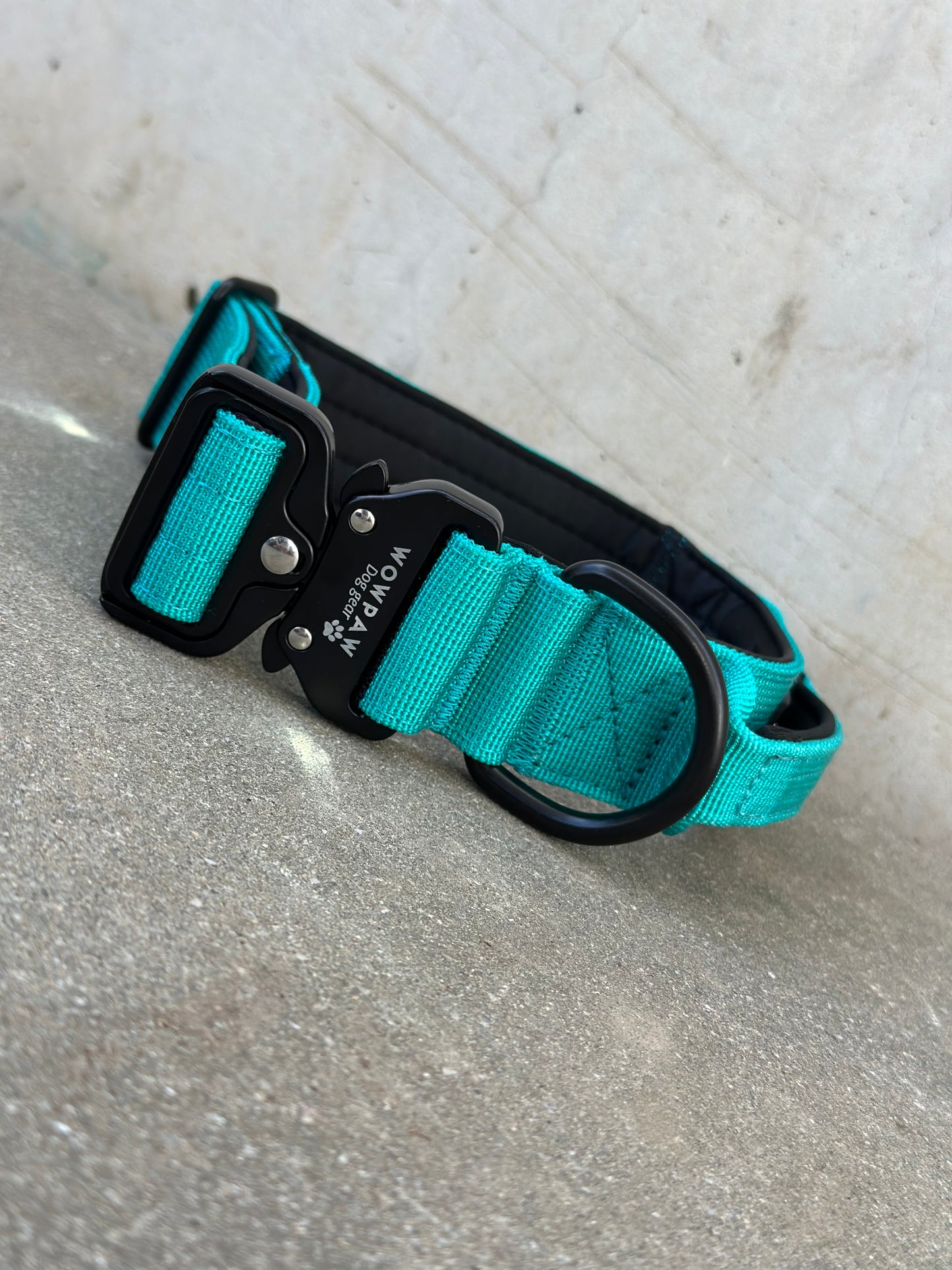 Collare tattico per cani di alta qualità turchese taglia M larghezza 4 cm