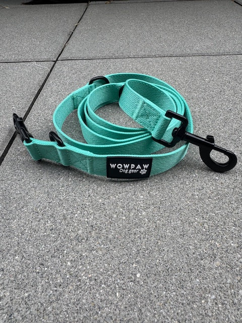 Standard Hundeleine M verstellbar Länge 2m Mint