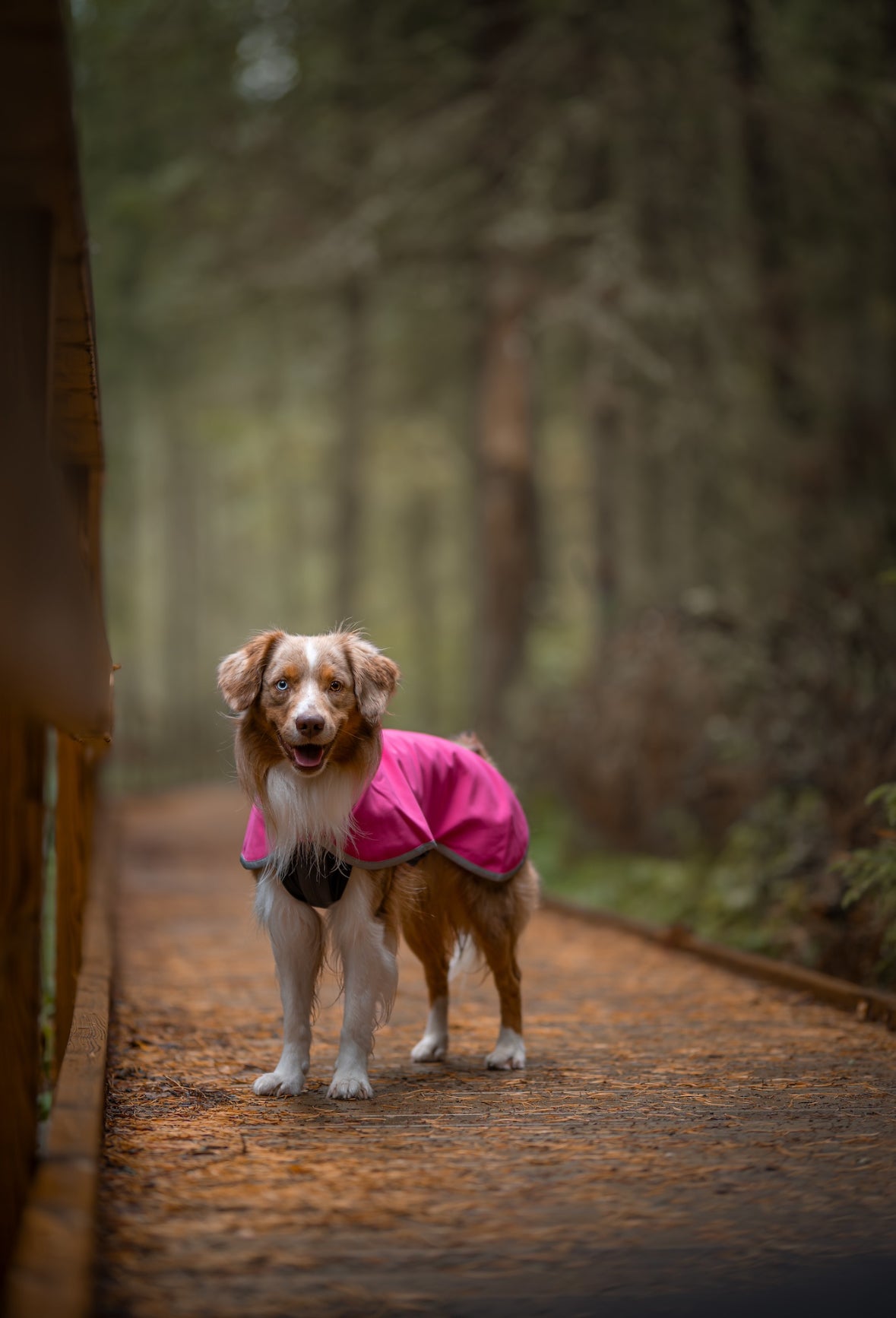 Sportti Pomppa RÓŻOWY