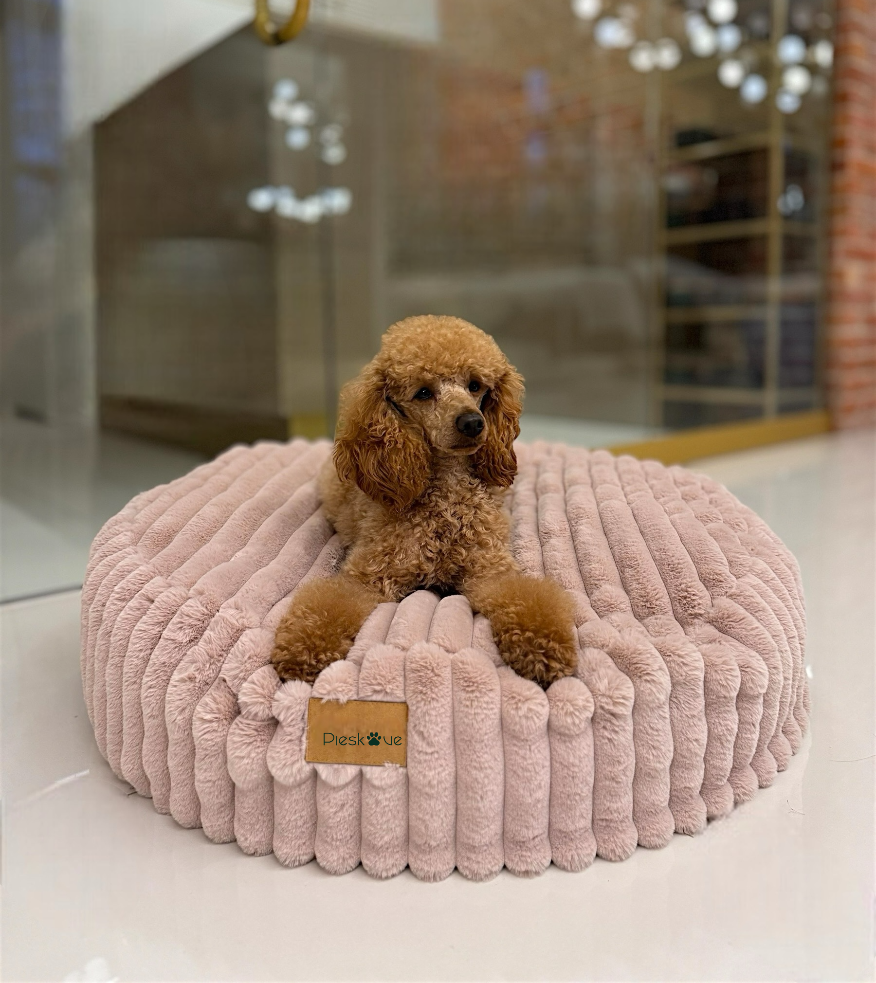 Relax-Kissen Rabbit Candy – Wowpaw Online Shop