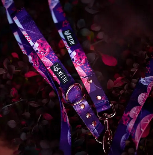 KETTU Halbzug Hundehalsband White Arctic Fox