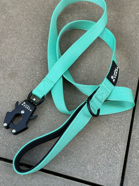 Taktische Hundeleine mit Froschkarabiner Länge 1,5m Mint